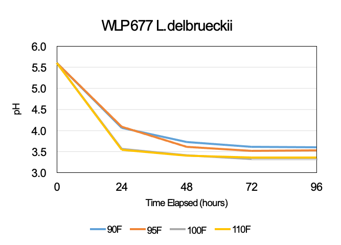 WLP677 Souring Time