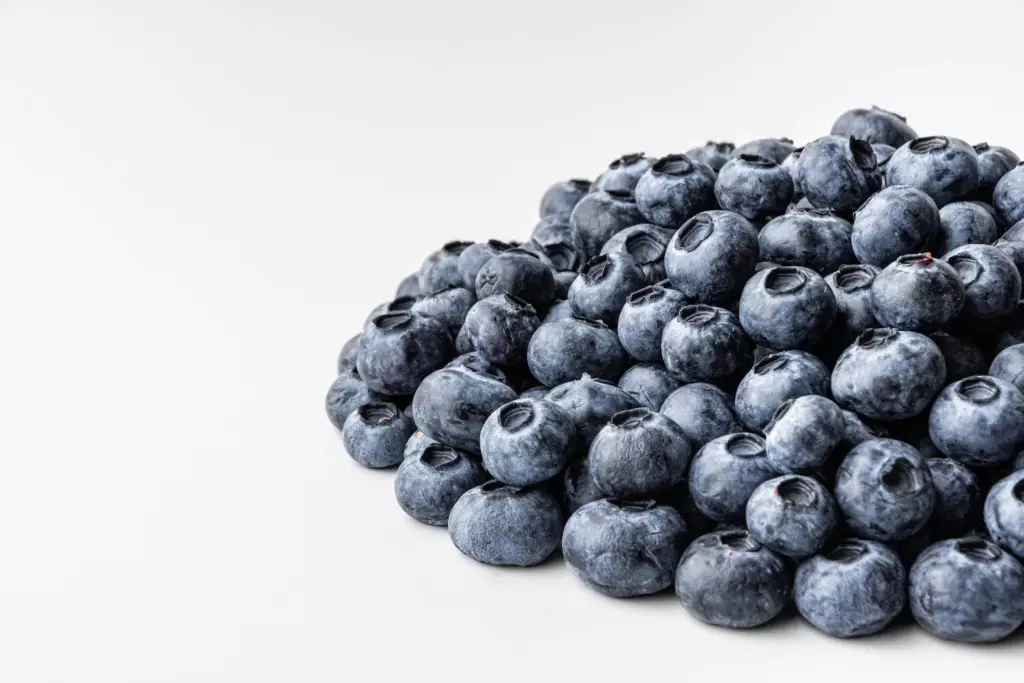Freeze-dried Wild Blueberries - 25g