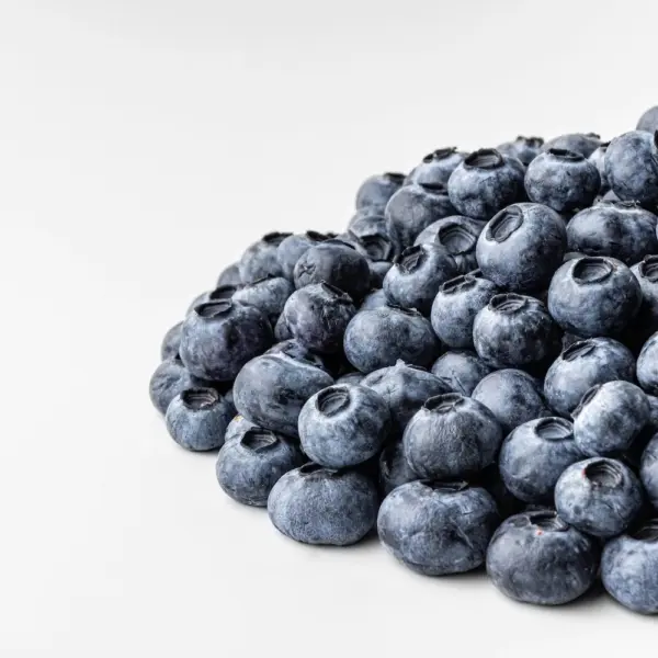 Freeze-dried Wild Blueberries - 25g
